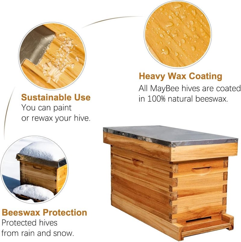 MayBee 5-Frame Nuc Beehive for Bees Complete Bee Hive Box Kit with Metal Roof Includes Wooden Frames & Waxed Foundations for Langstroth Beekeeping - Image 3